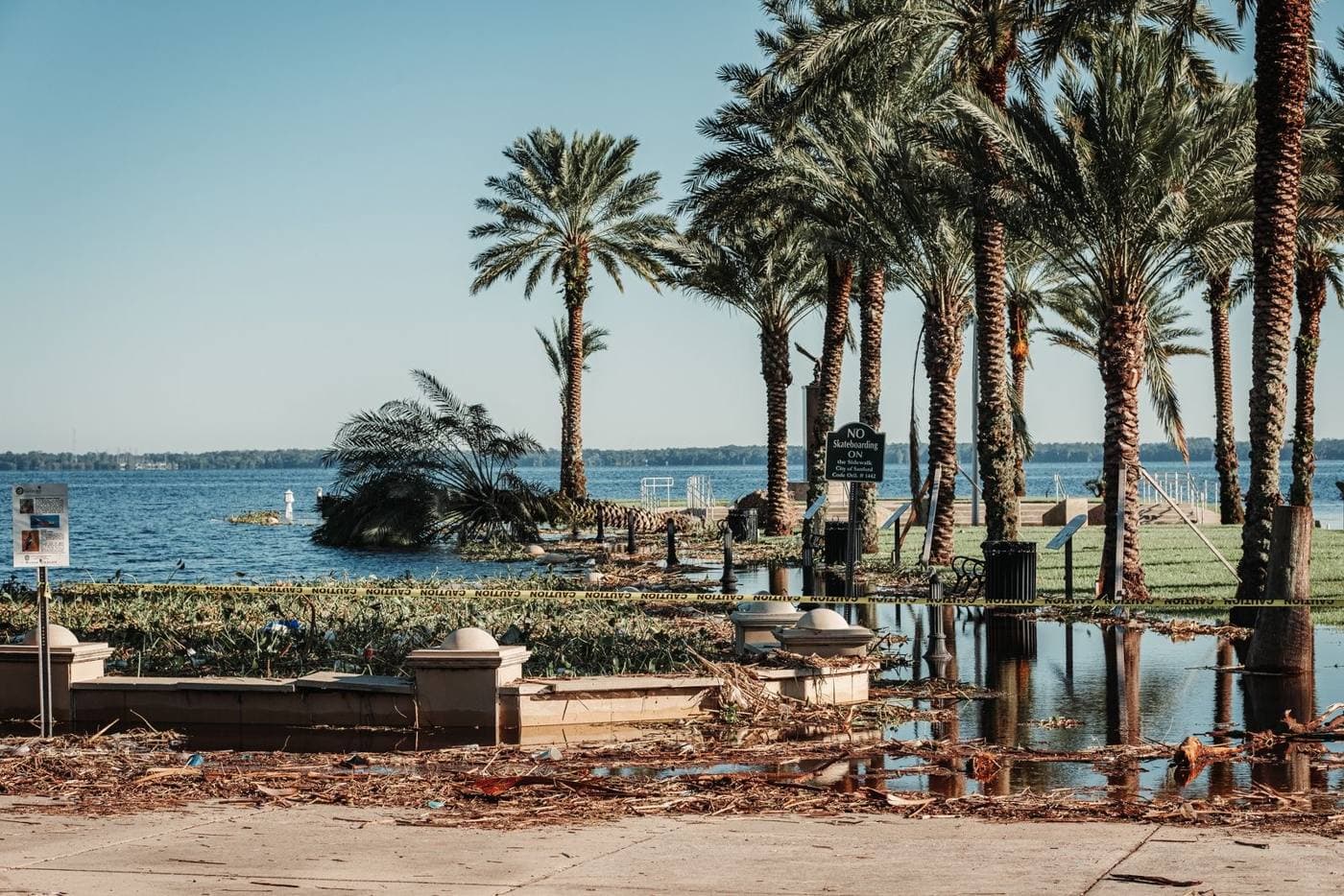 Palm trees and storm debris along a flooded Florida waterfront