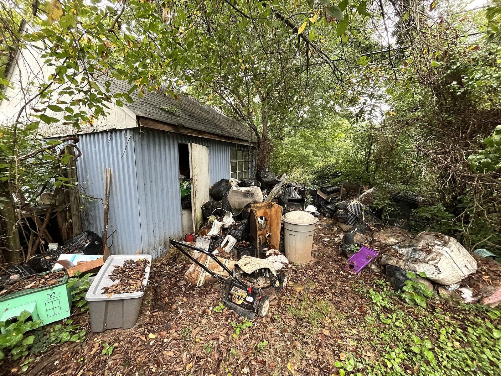 Overgrown backyard with a metal shed surrounded by trash bags, old bins and a broken lawn mower